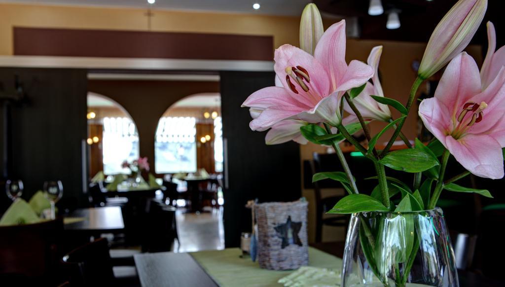 Hotel Restaurant Moselblick Wintrich Exterior foto